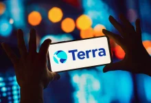 شرکت رمزارزی Terraform Labs درخواست ورشکستگی خود را ثبت کرد