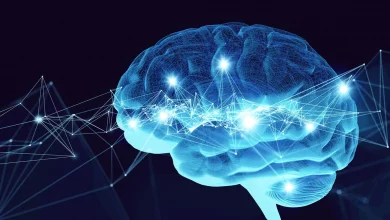 هوش مصنوعی سازوکار حافظه انسان را تشریح کرد