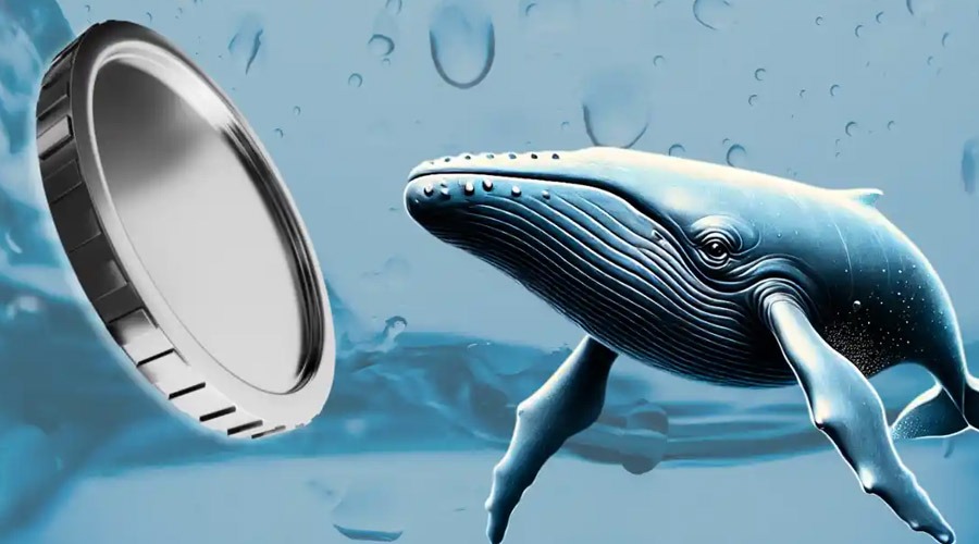 خرید میلیونی نهنگها