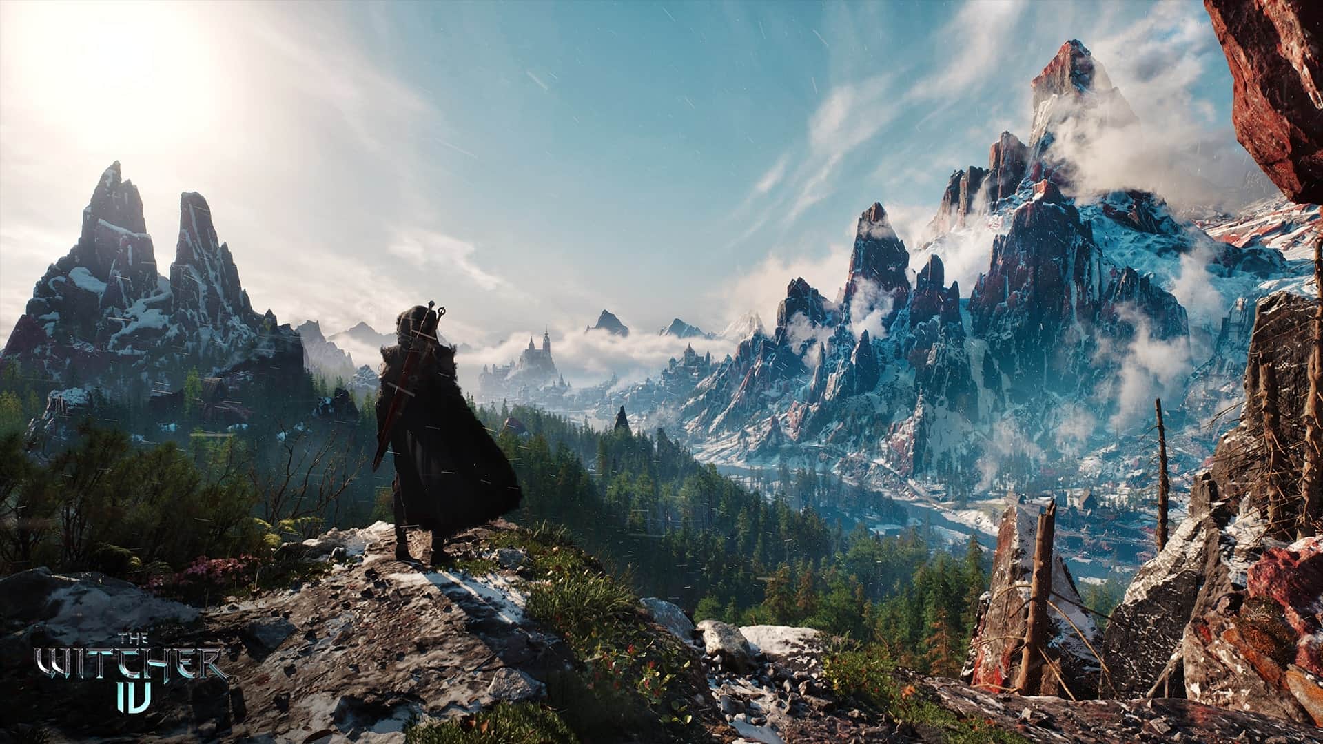 the Witcher