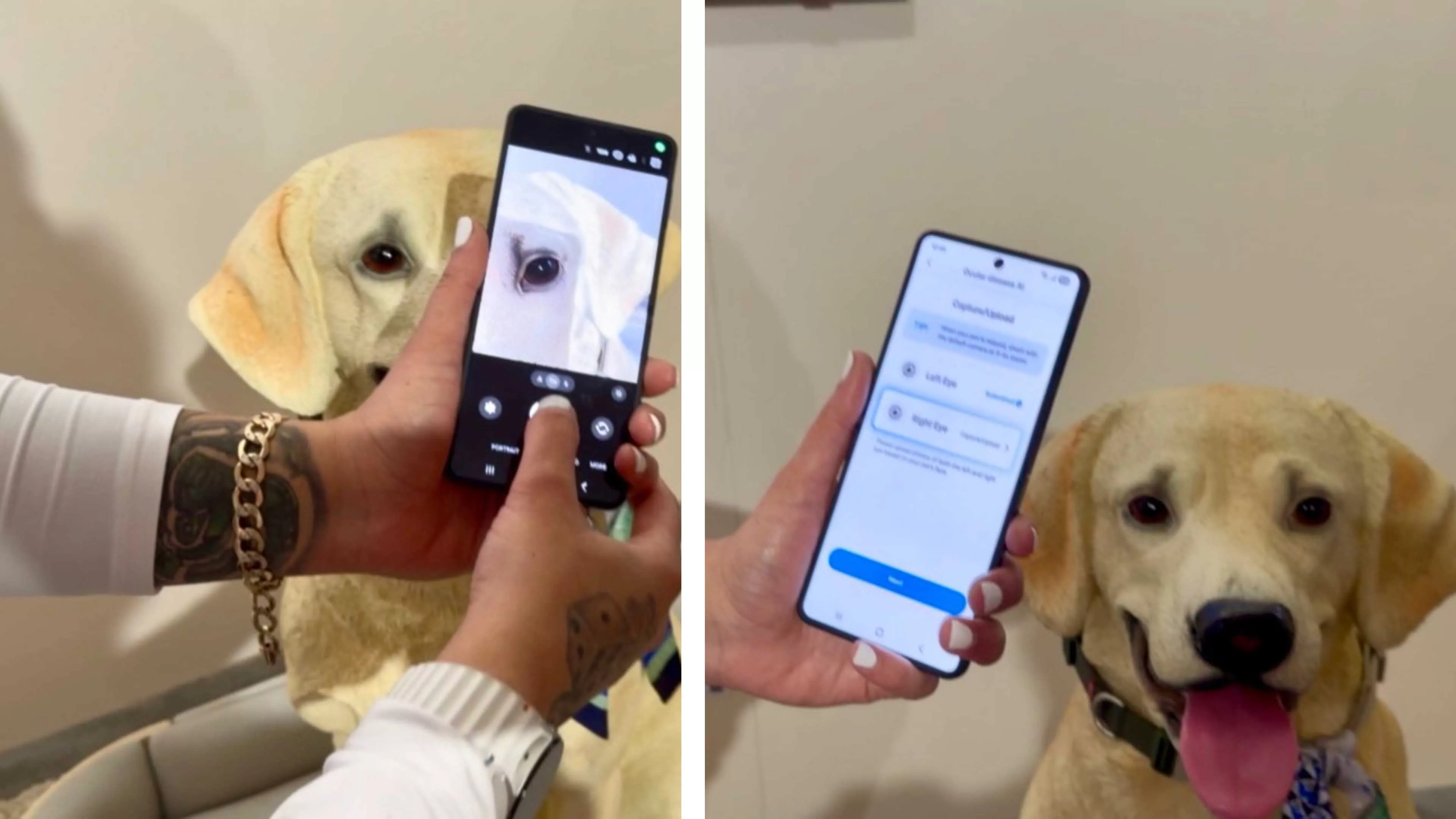 سامسونگ قابلیت Pet Care را معرفی کرد؛ دامپزشک هوش مصنوعی در جیب شما