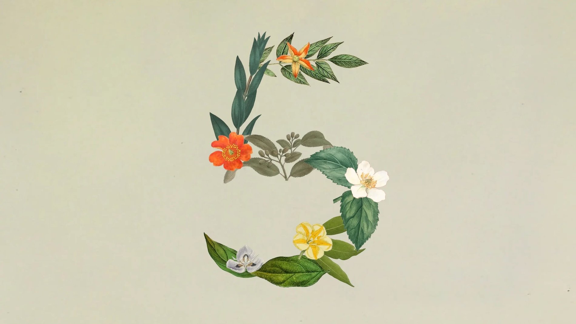 آنتروپیک از Claude Sonnet 5 رونمایی کرد؛ مدلی ارزان برای ایجنتها